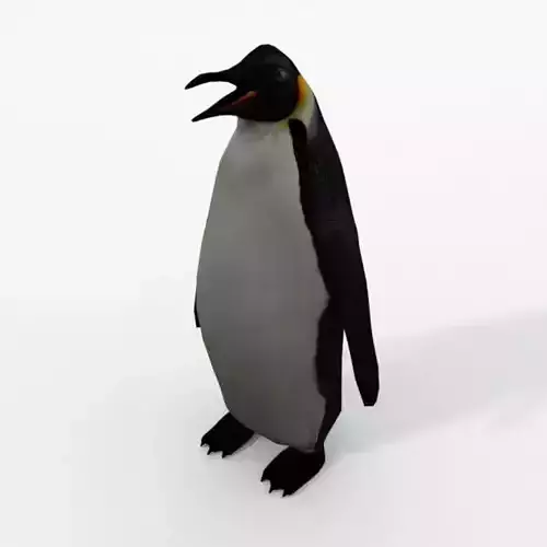 King Penguin