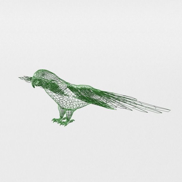 Green Parrot Low-poly 3D model_4