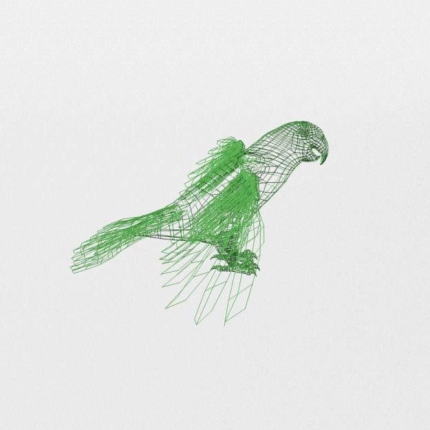 Green Parrot Low-poly 3D model_7
