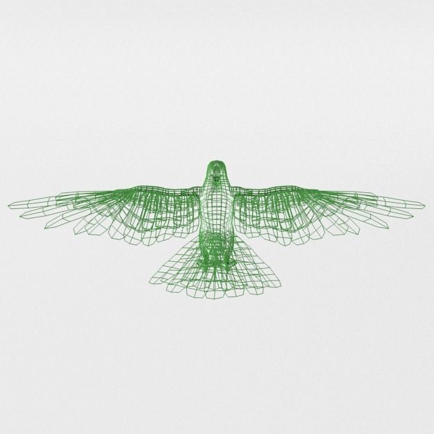 Green Parrot Low-poly 3D model_5