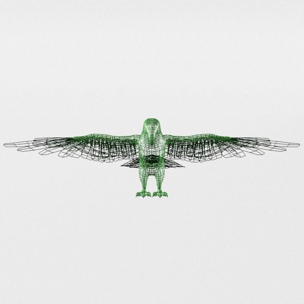 Green Parrot Low-poly 3D model_6