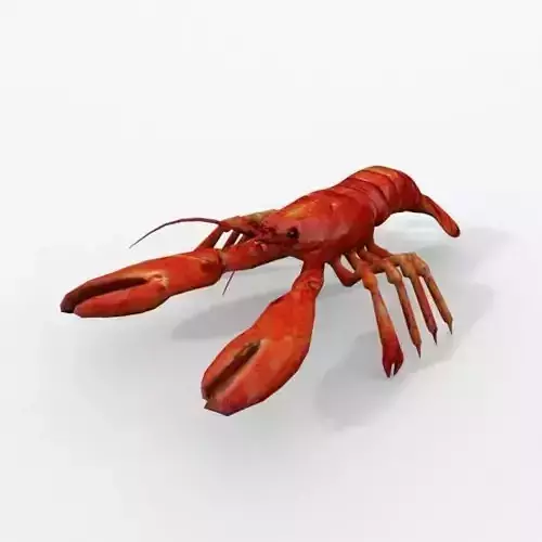Lobster