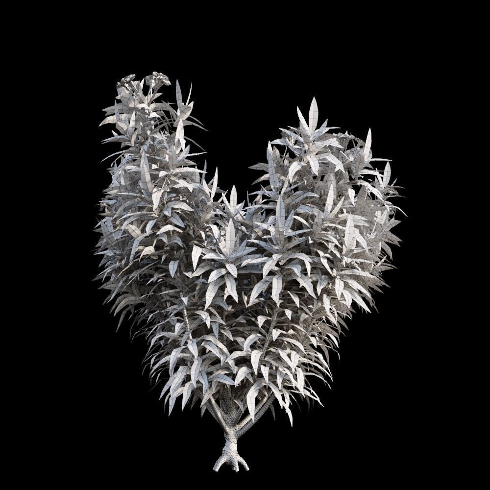 Australian Bush and Grass kit 1 3D model_20