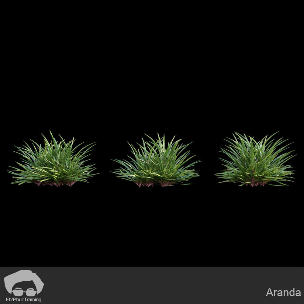 Australian Bush and Grass kit 1 3D model_1