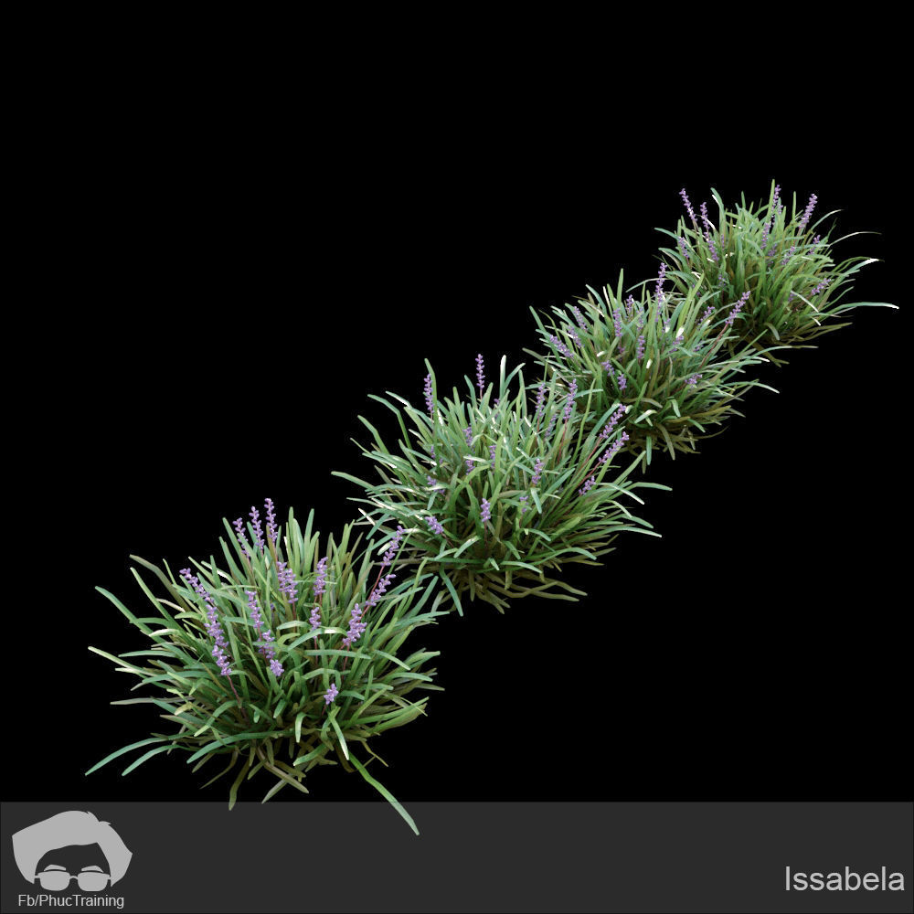 Australian Bush and Grass kit 1 3D model_13