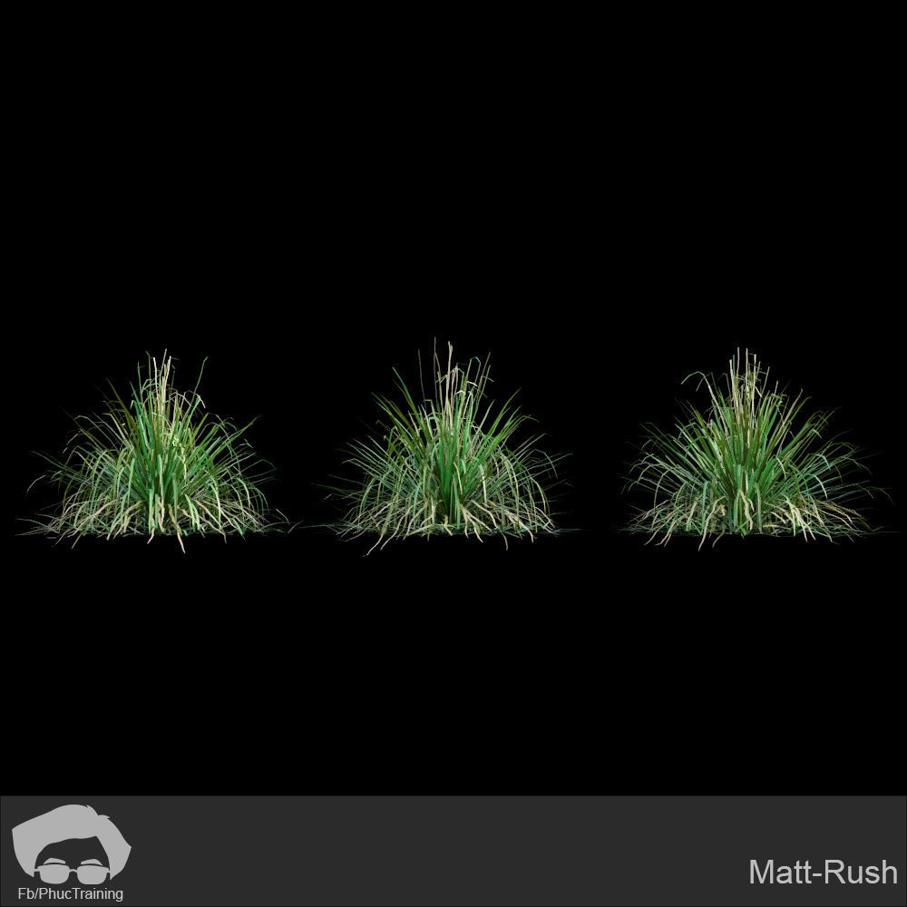 Australian Bush and Grass kit 1 3D model_17
