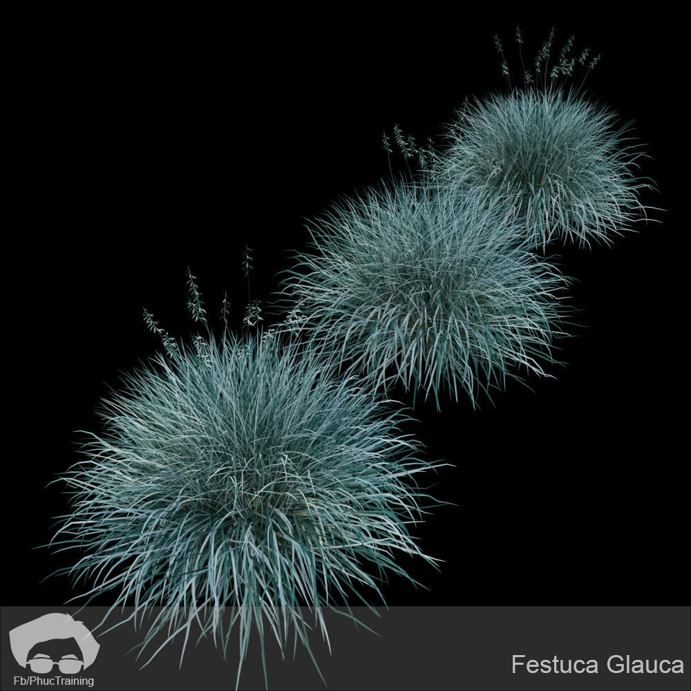 Australian Bush and Grass kit 1 3D model_7