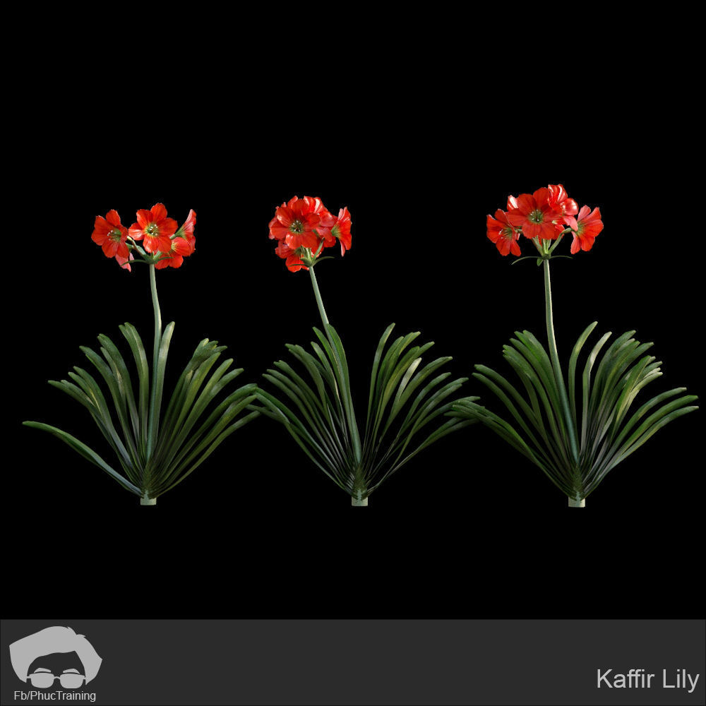 Australian Bush and Grass kit 1 3D model_15