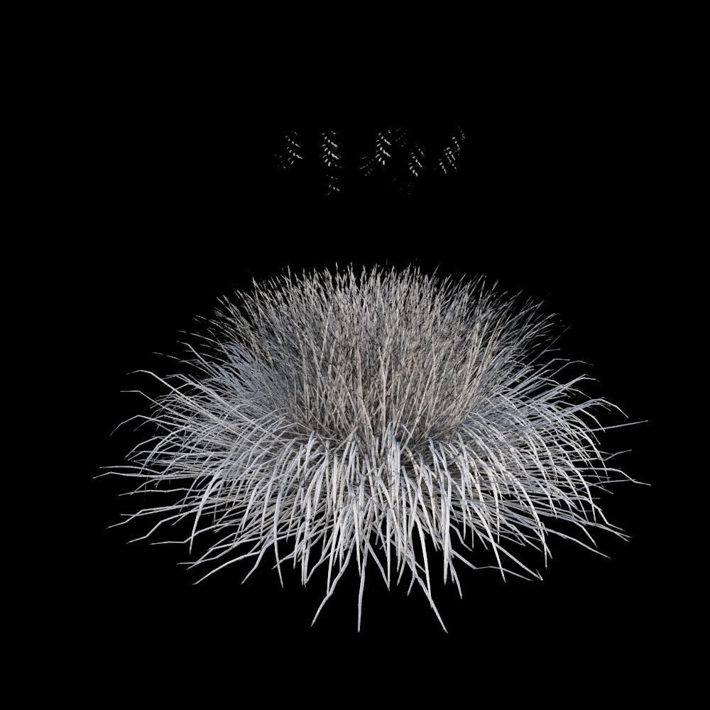 Australian Bush and Grass kit 1 3D model_8