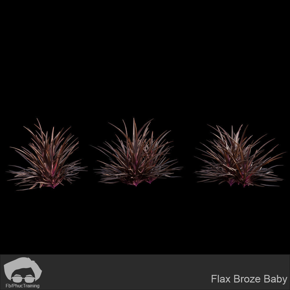 Australian Bush and Grass kit 1 3D model_9