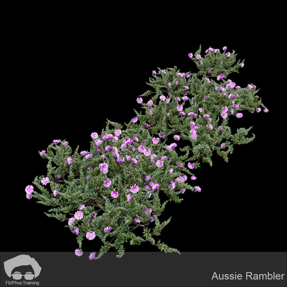 Australian Bush and Grass kit 1 3D model_3