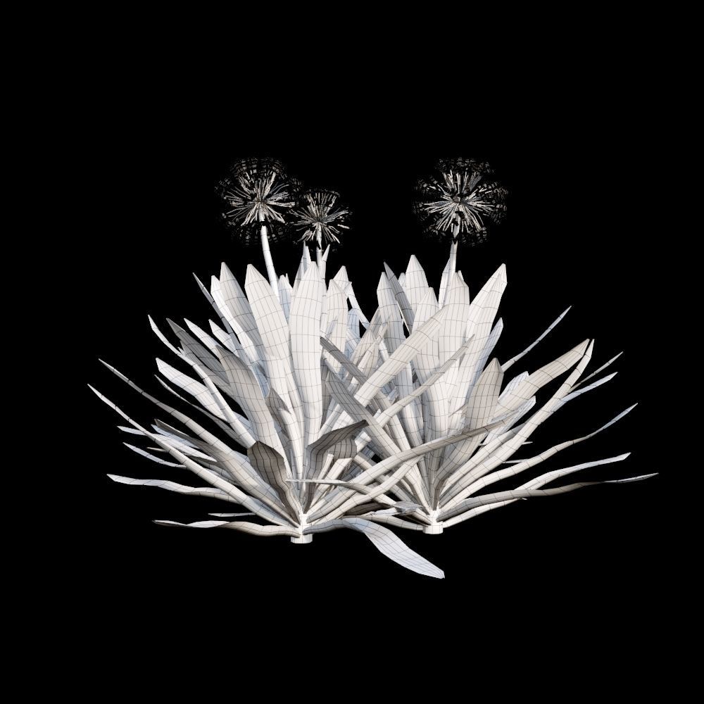 Australian Bush and Grass kit 1 3D model_6