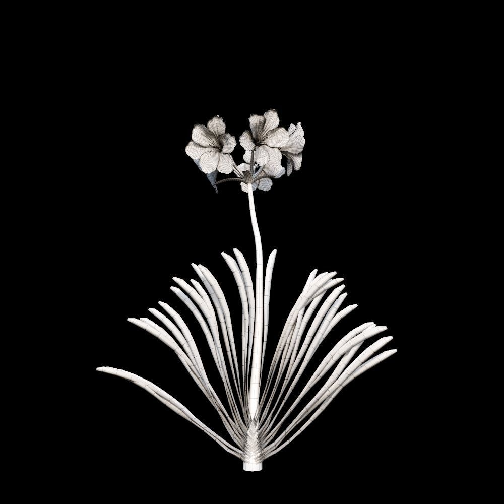 Australian Bush and Grass kit 1 3D model_16