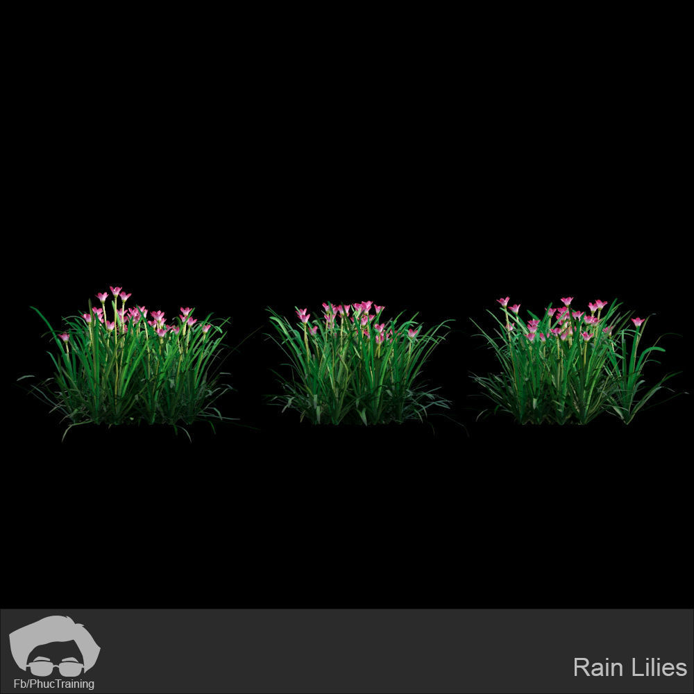 Australian Bush and Grass kit 1 3D model_21
