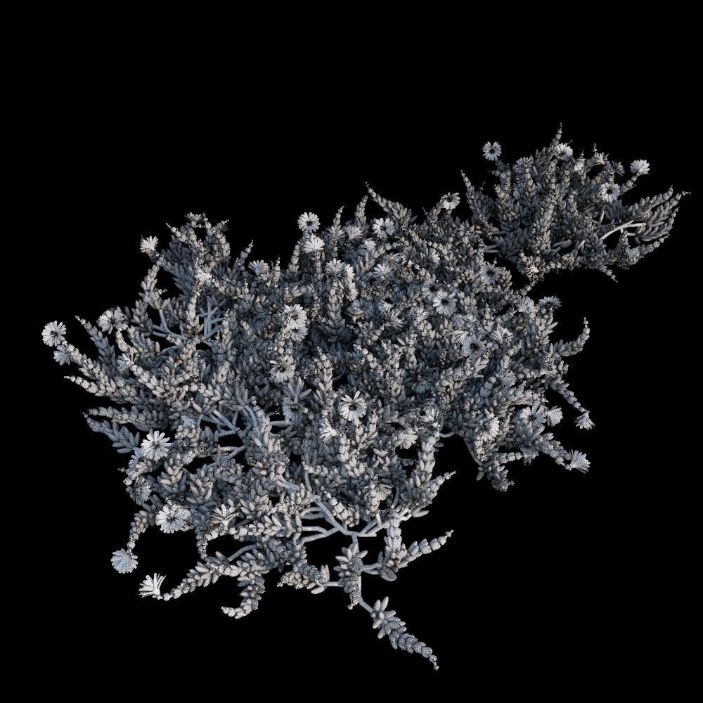 Australian Bush and Grass kit 1 3D model_4