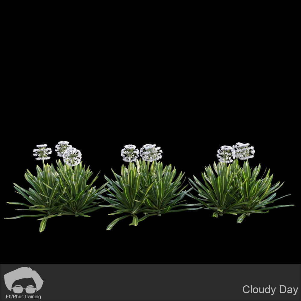 Australian Bush and Grass kit 1 3D model_5
