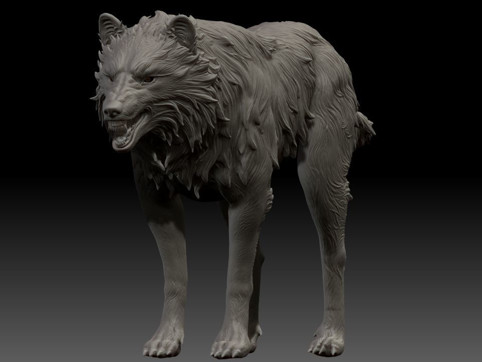 Wolf highpoly 3D model_1