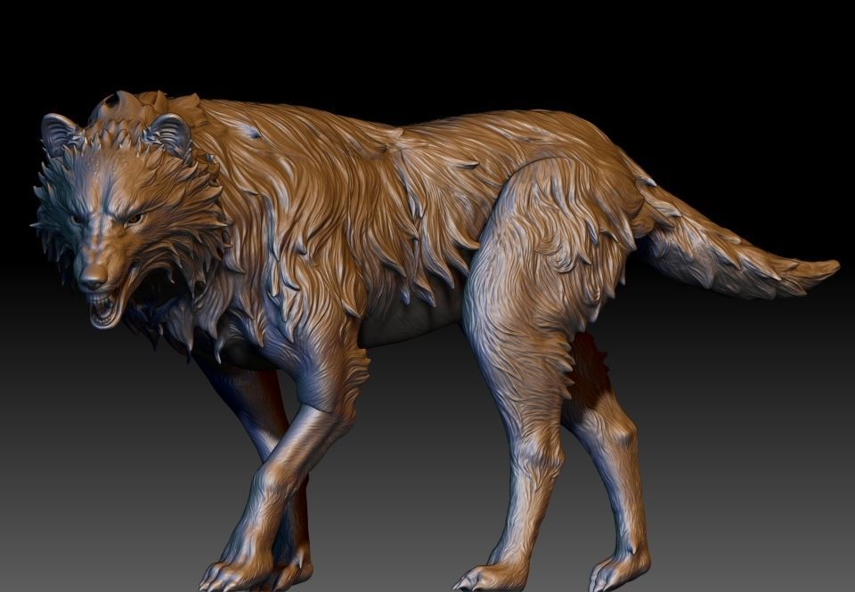 Wolf highpoly 3D model_7