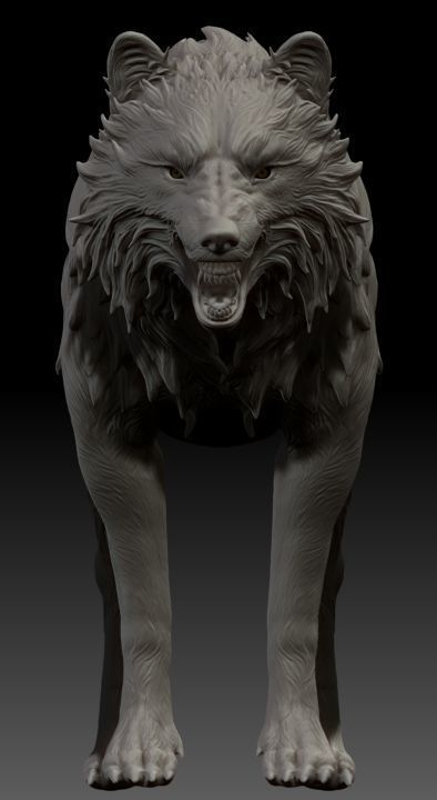 Wolf highpoly 3D model_2