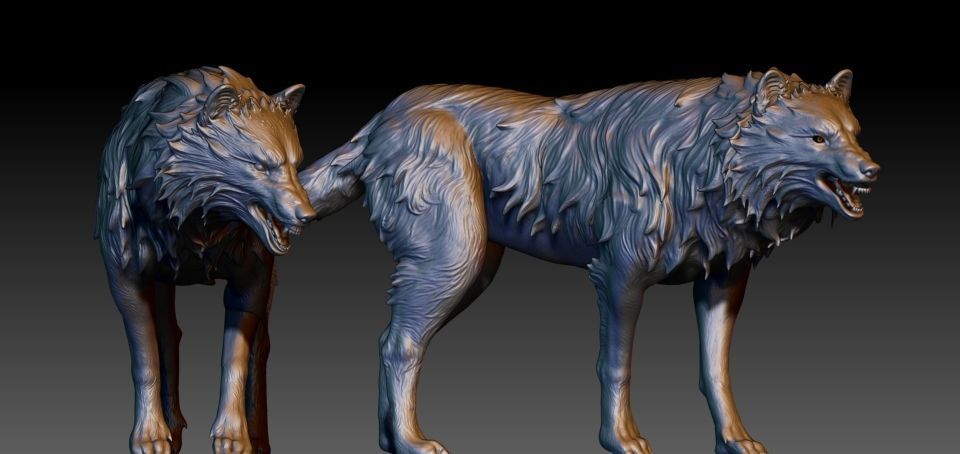 Wolf highpoly 3D model_6