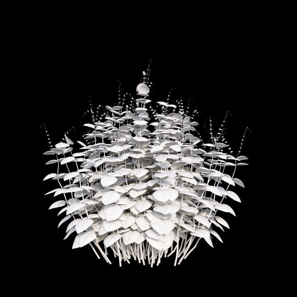 Australian Bush and Grass kit 2 3D model_8