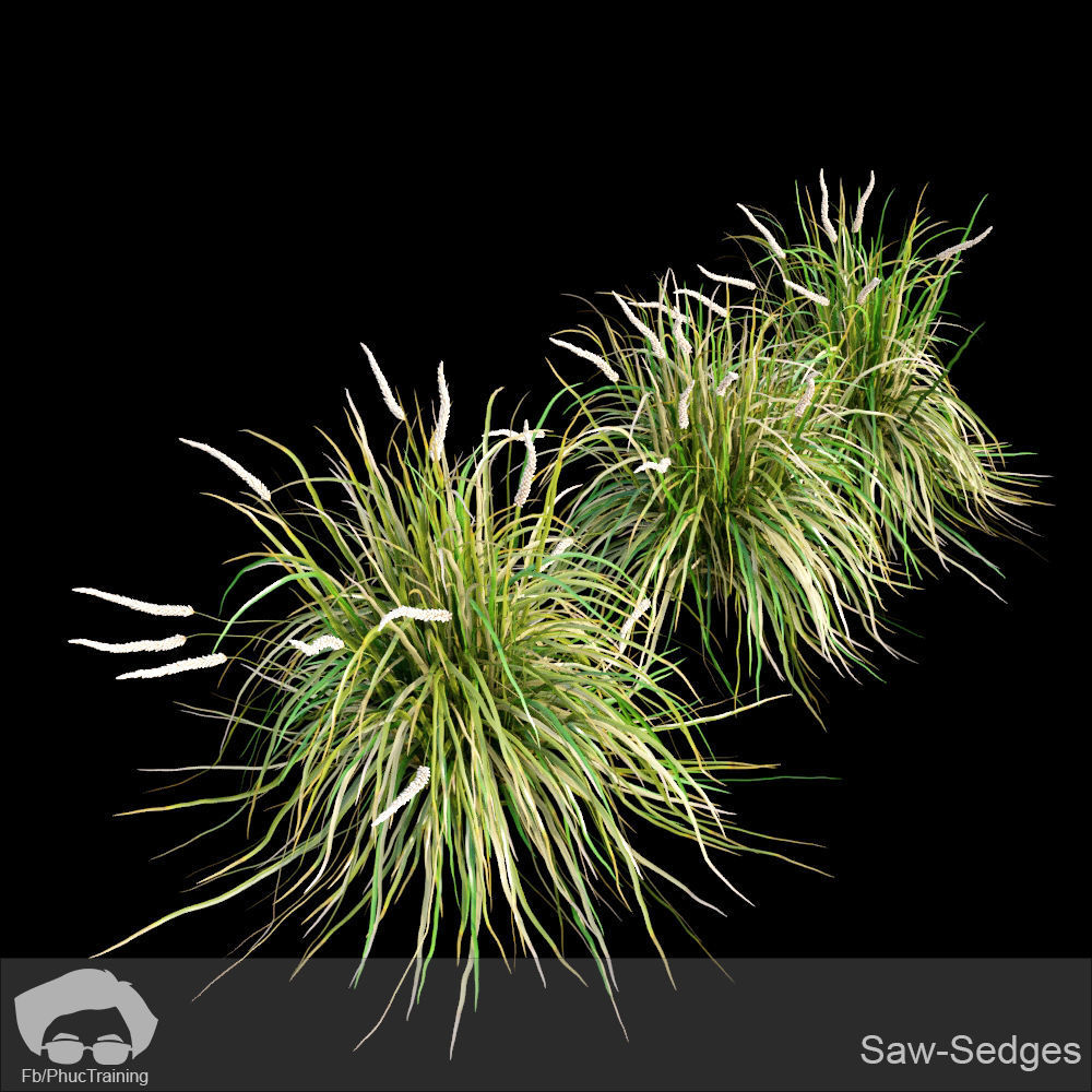 Australian Bush and Grass kit 2 3D model_13