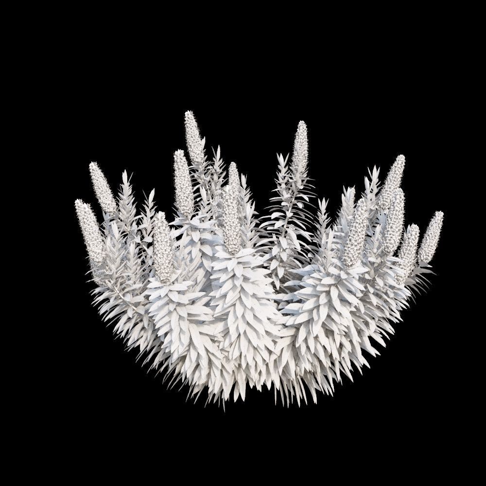 Australian Bush and Grass kit 2 3D model_10