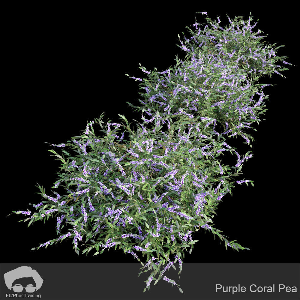 Australian Bush and Grass kit 2 3D model_11
