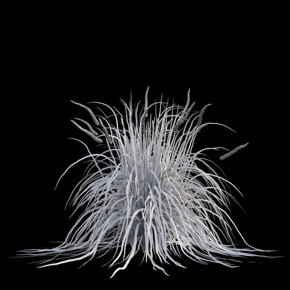 Australian Bush and Grass kit 2 3D model_14