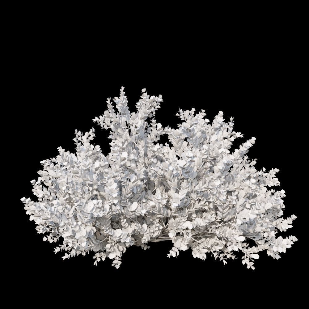 Australian Bush and Grass kit 2 3D model_16