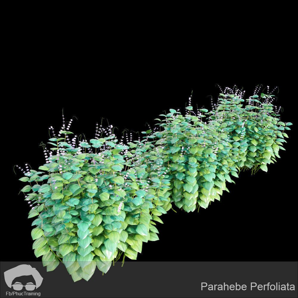 Australian Bush and Grass kit 2 3D model_7