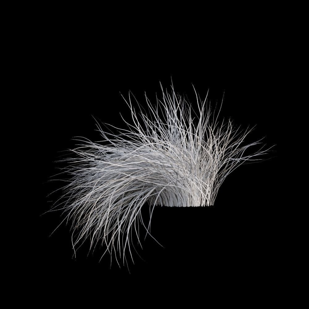 Australian Bush and Grass kit 2 3D model_18