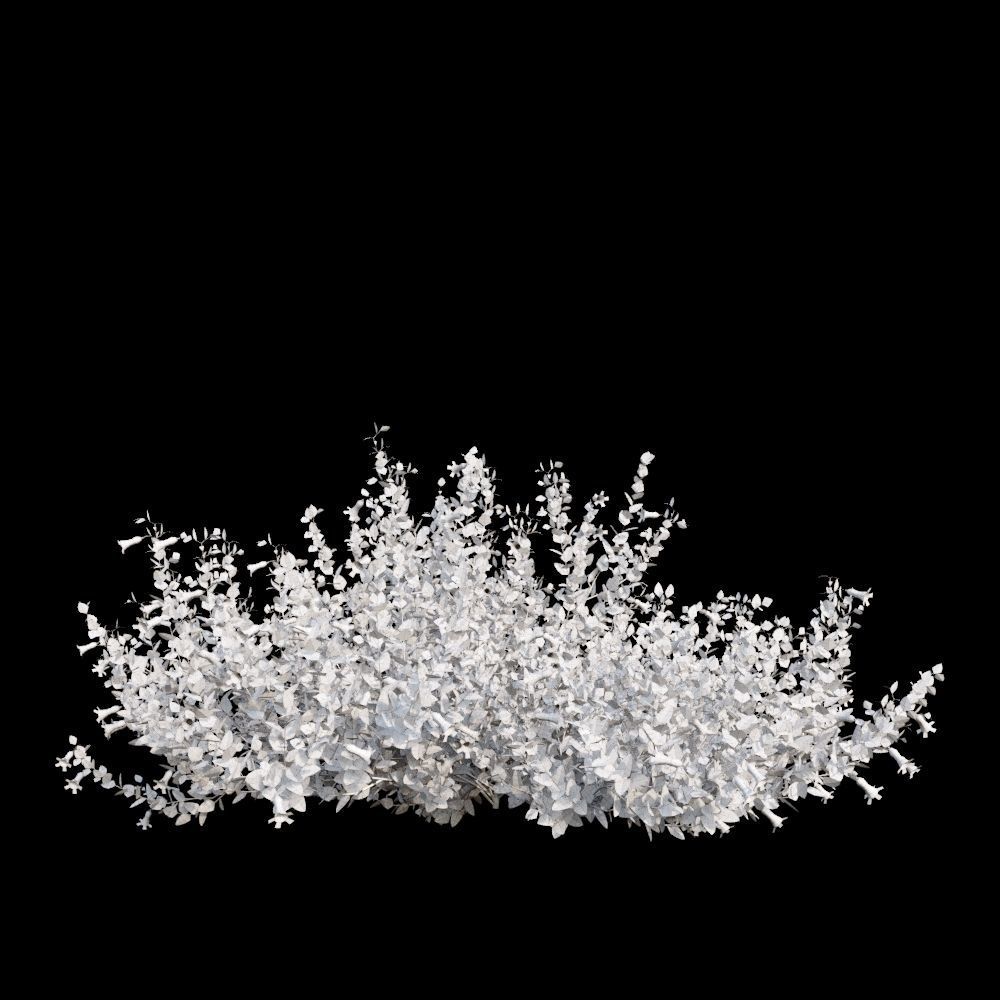 Australian Bush and Grass kit 2 3D model_2