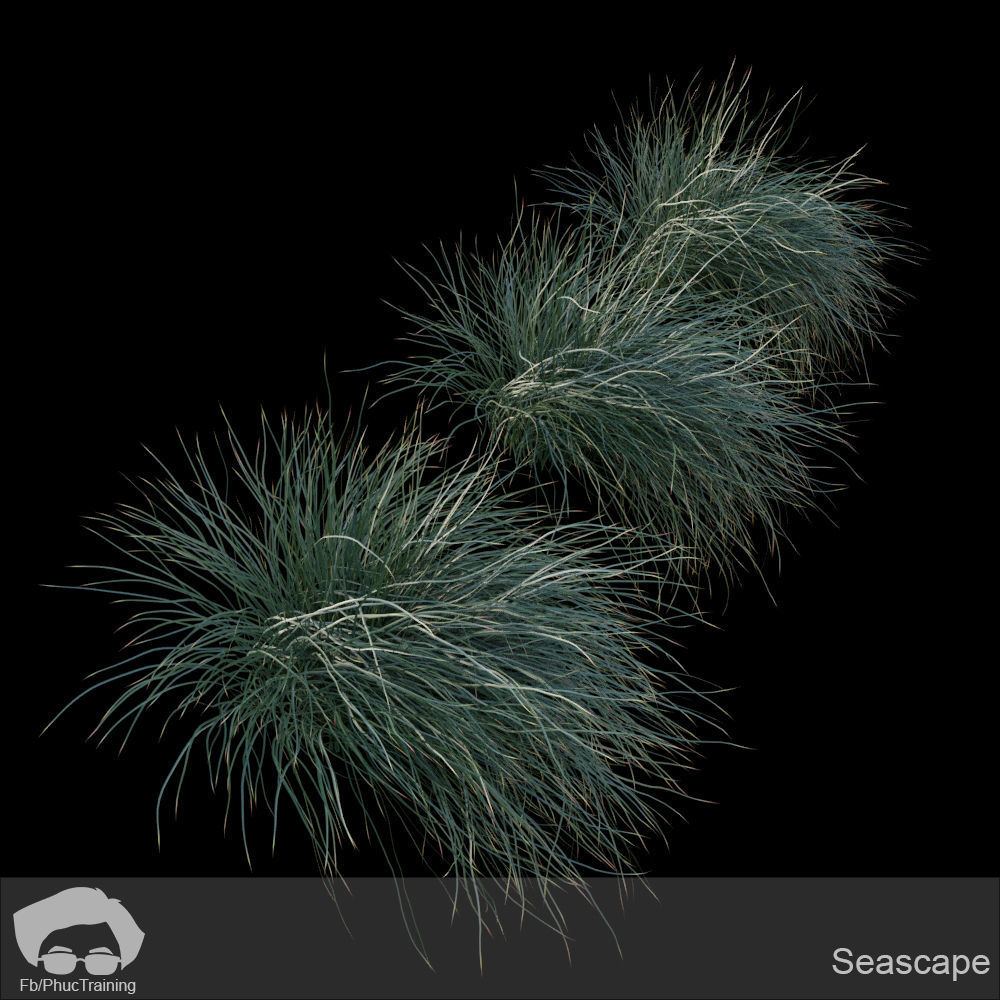 Australian Bush and Grass kit 2 3D model_17