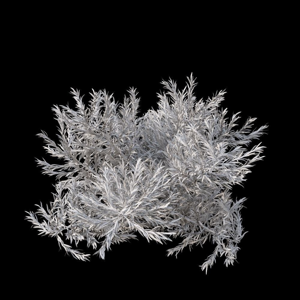 Australian Bush and Grass kit 2 3D model_4