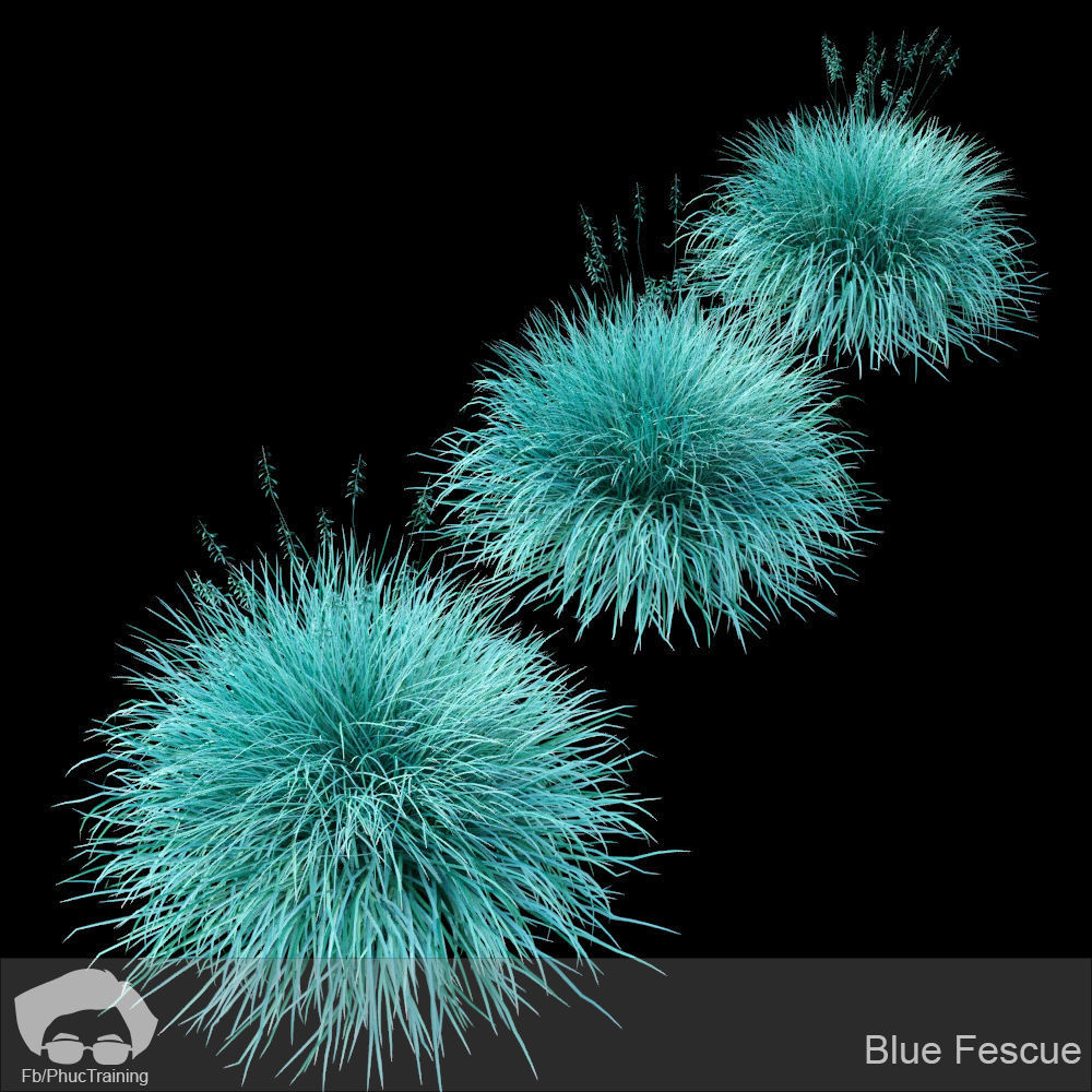 Australian Bush and Grass kit 2 3D model_5