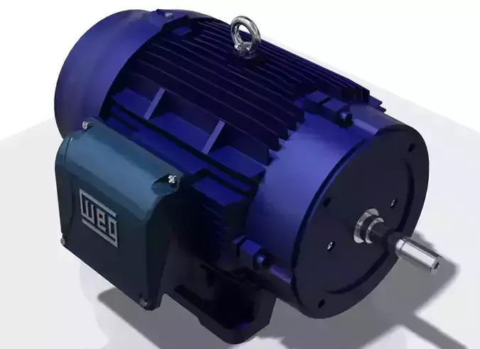 Motor WEG 324TS left