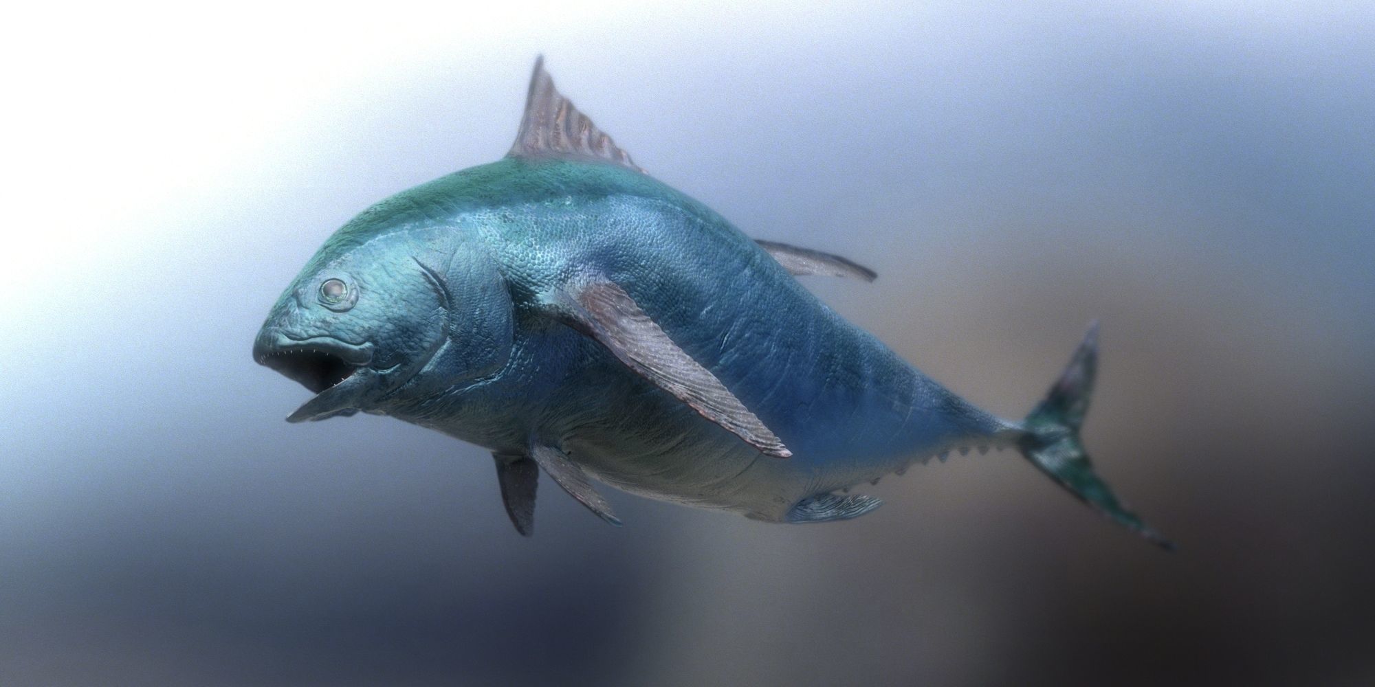 tuna fish 3D model_3