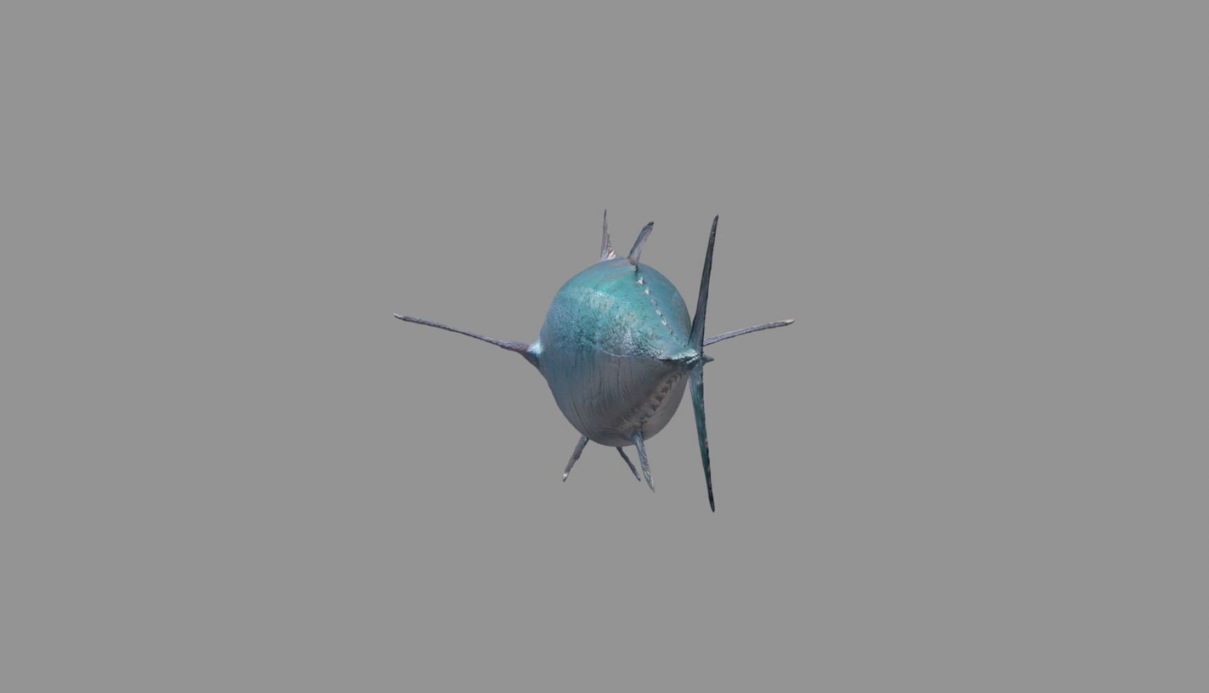 tuna fish 3D model_20