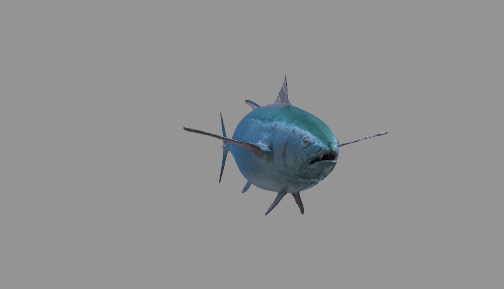 tuna fish 3D model_38