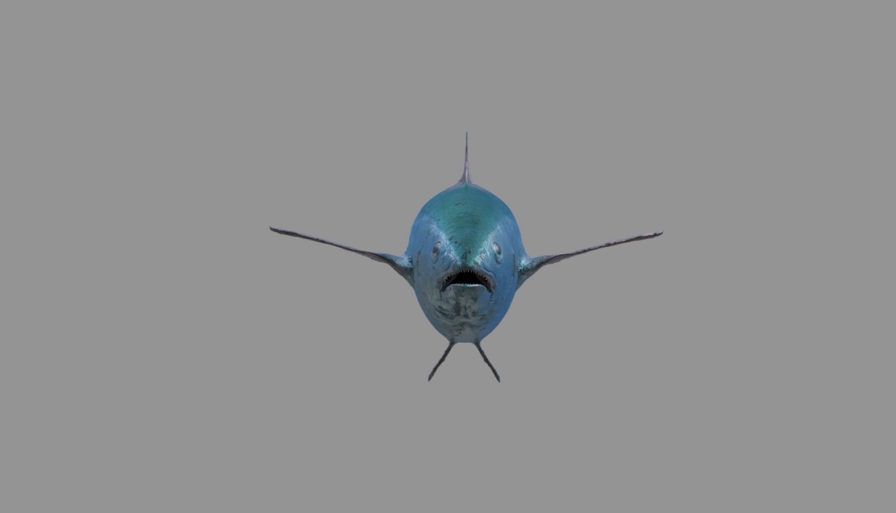 tuna fish 3D model_31