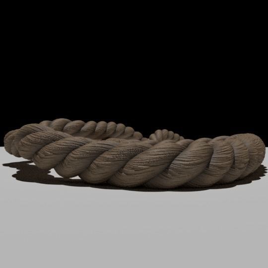 High-Poly Rope 3D model_1