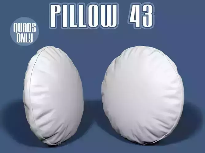 Pillow 43