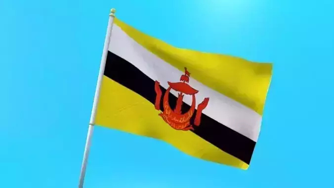 Brunei flag animated low poly 3D model