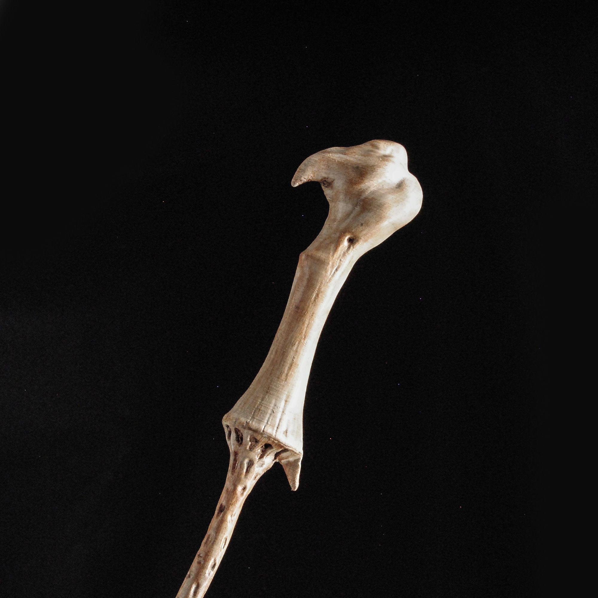 HARRY POTTER WAND COLLECTION 3D print model_16