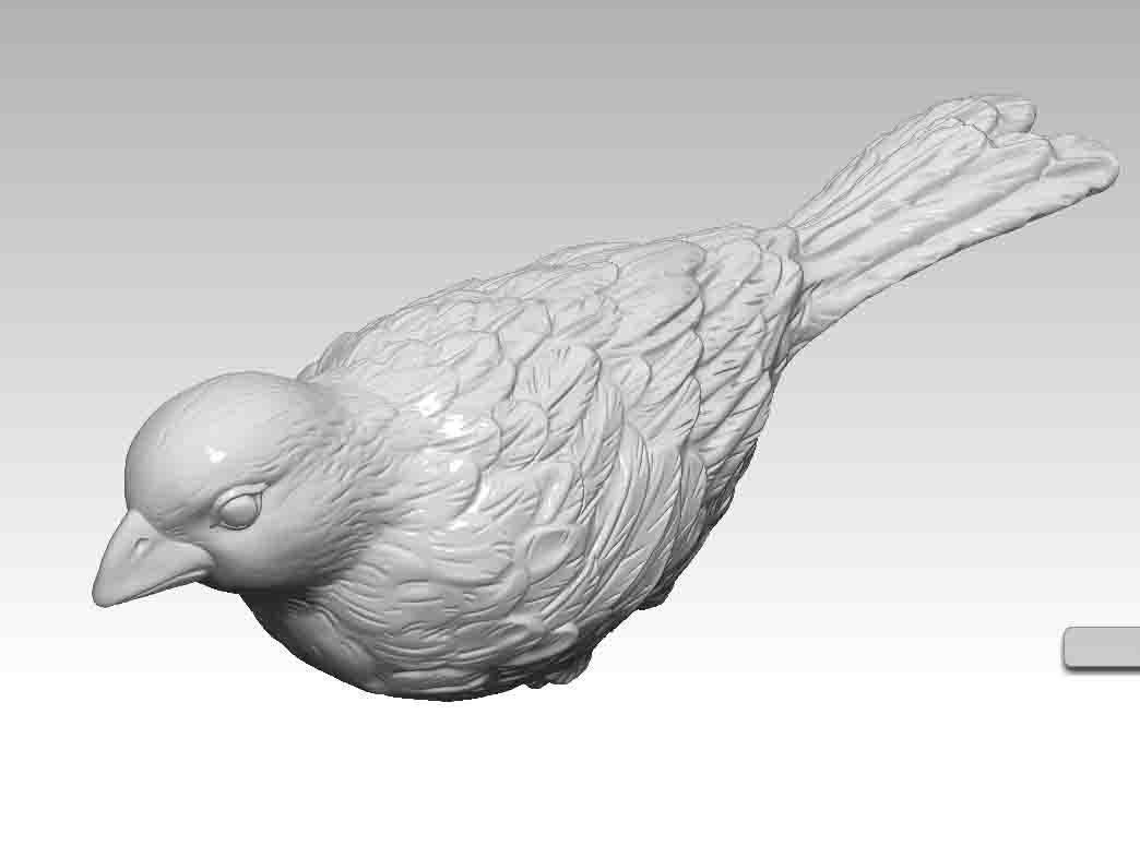 Blackbird bird 3D print model_1