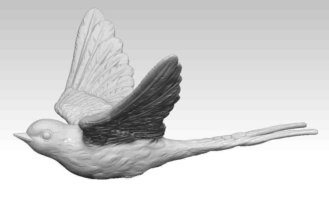 Swallow bird 3D print model_4