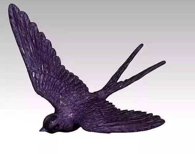 Swallow bird 3D print model