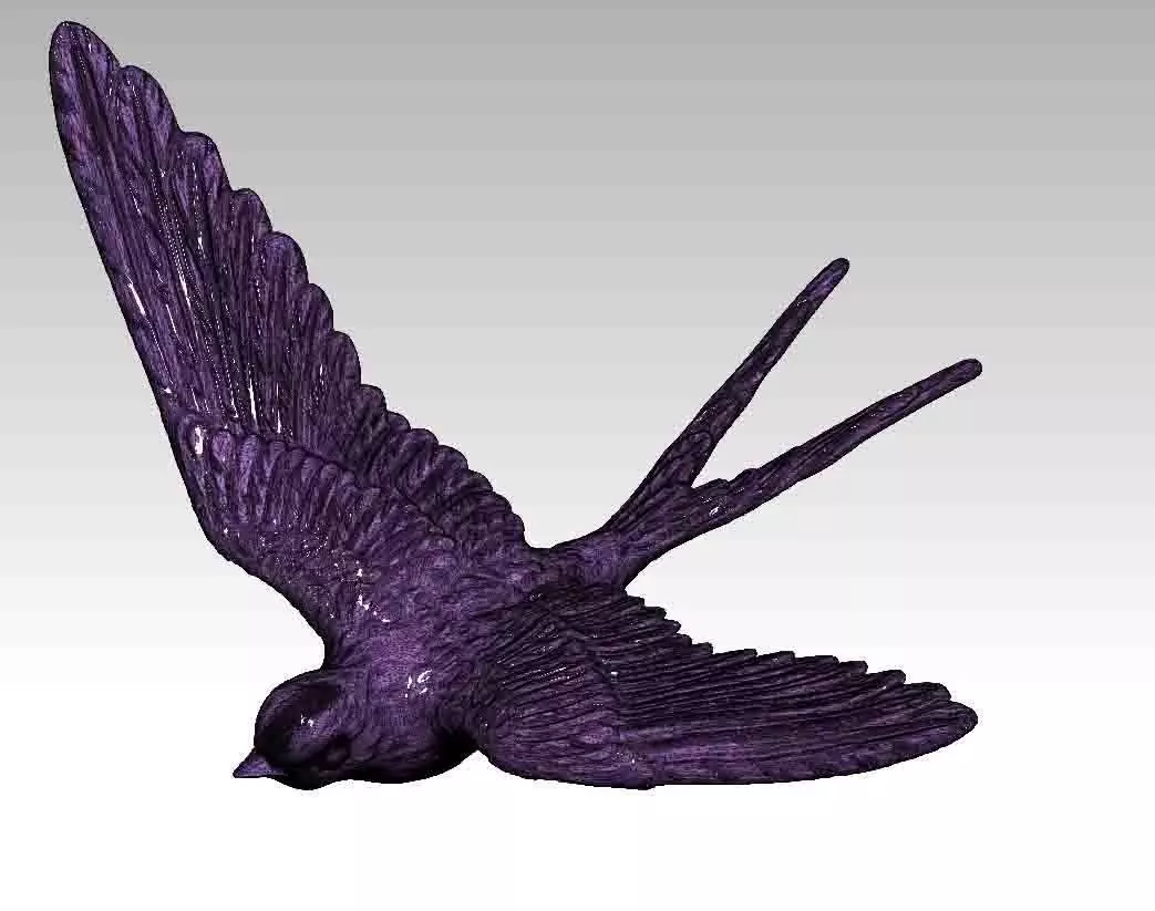 Swallow bird 3D print model_0