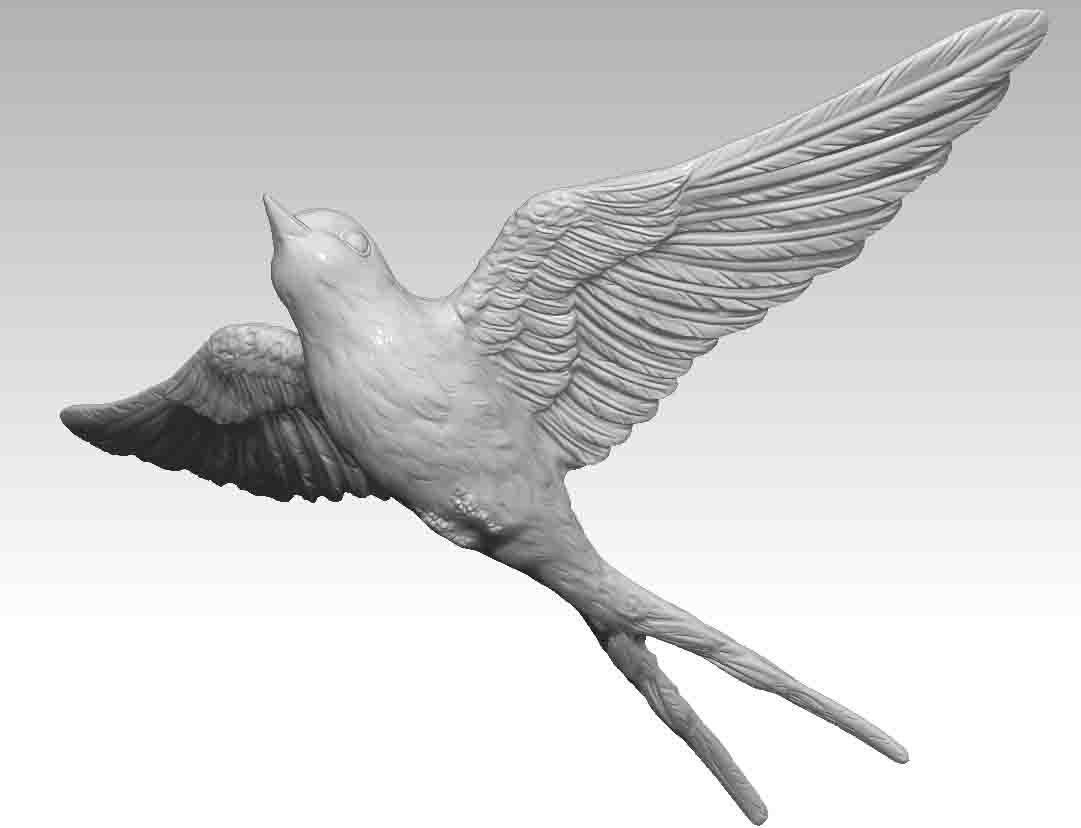Swallow bird 3D print model_2
